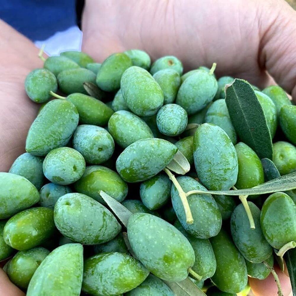 Liokareas HPEVOO Olive Oil - Picture 3 of 10